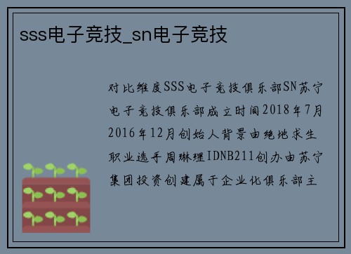 sss电子竞技_sn电子竞技