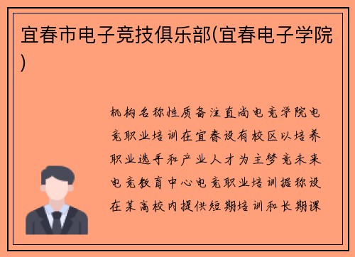 宜春市电子竞技俱乐部(宜春电子学院)